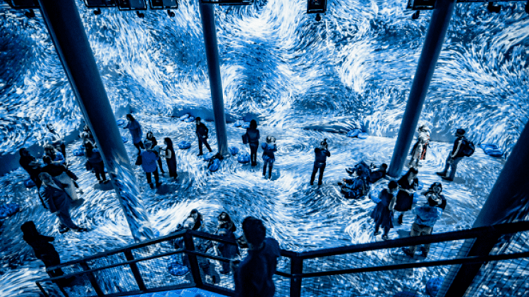 submerge Immersive Installation