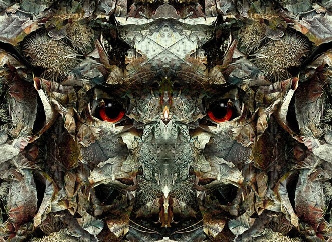 Paul Clarke | Photographer | HappenArt - Arts & Culture