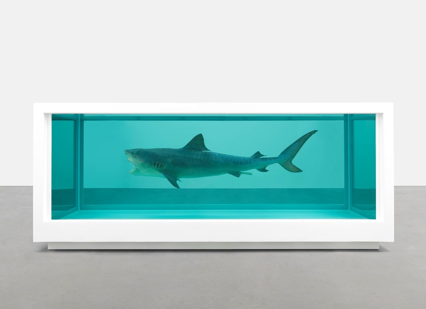 Damien Hirst: To Live Forever (For a While)
