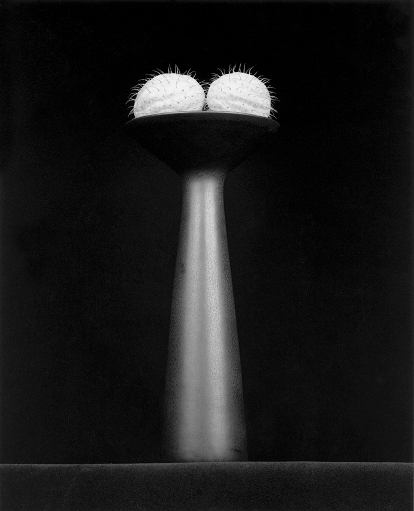 Robert Mapplethorpe: Behold the lowly Vessel